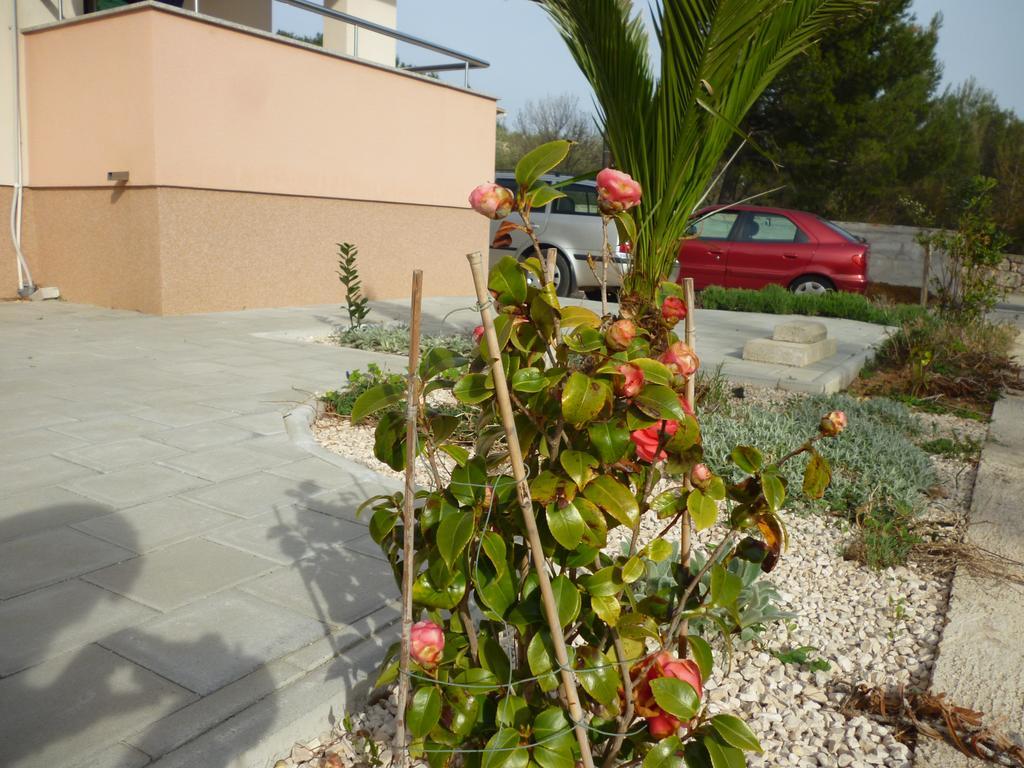 Apartman Branka Starigrad Paklenica Esterno foto